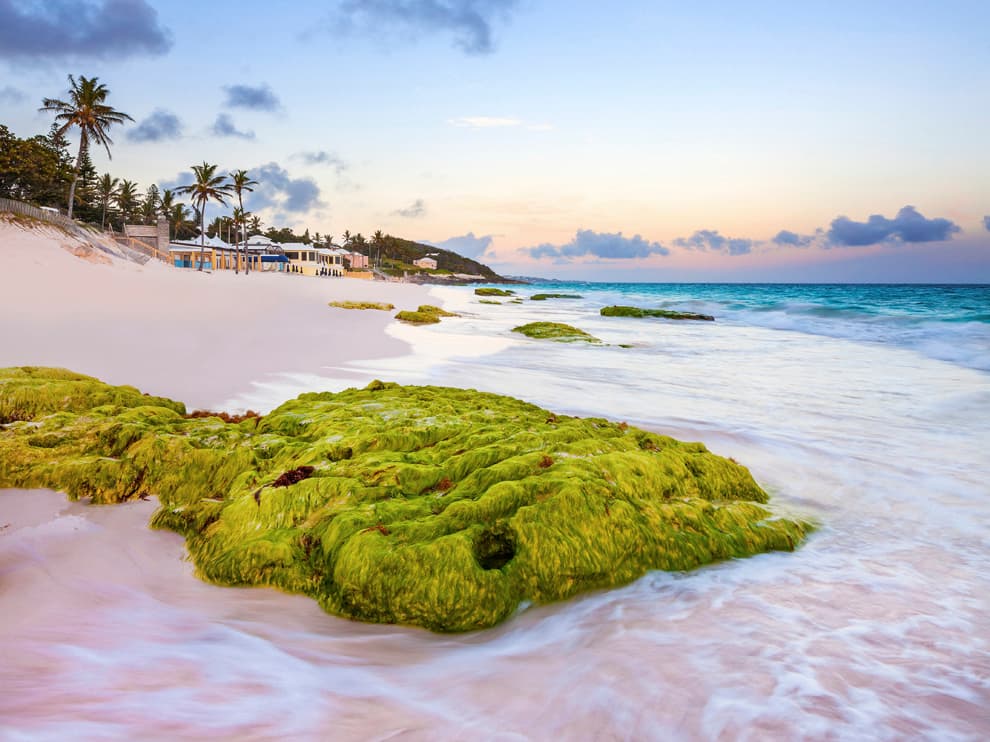 10. BERMUDA