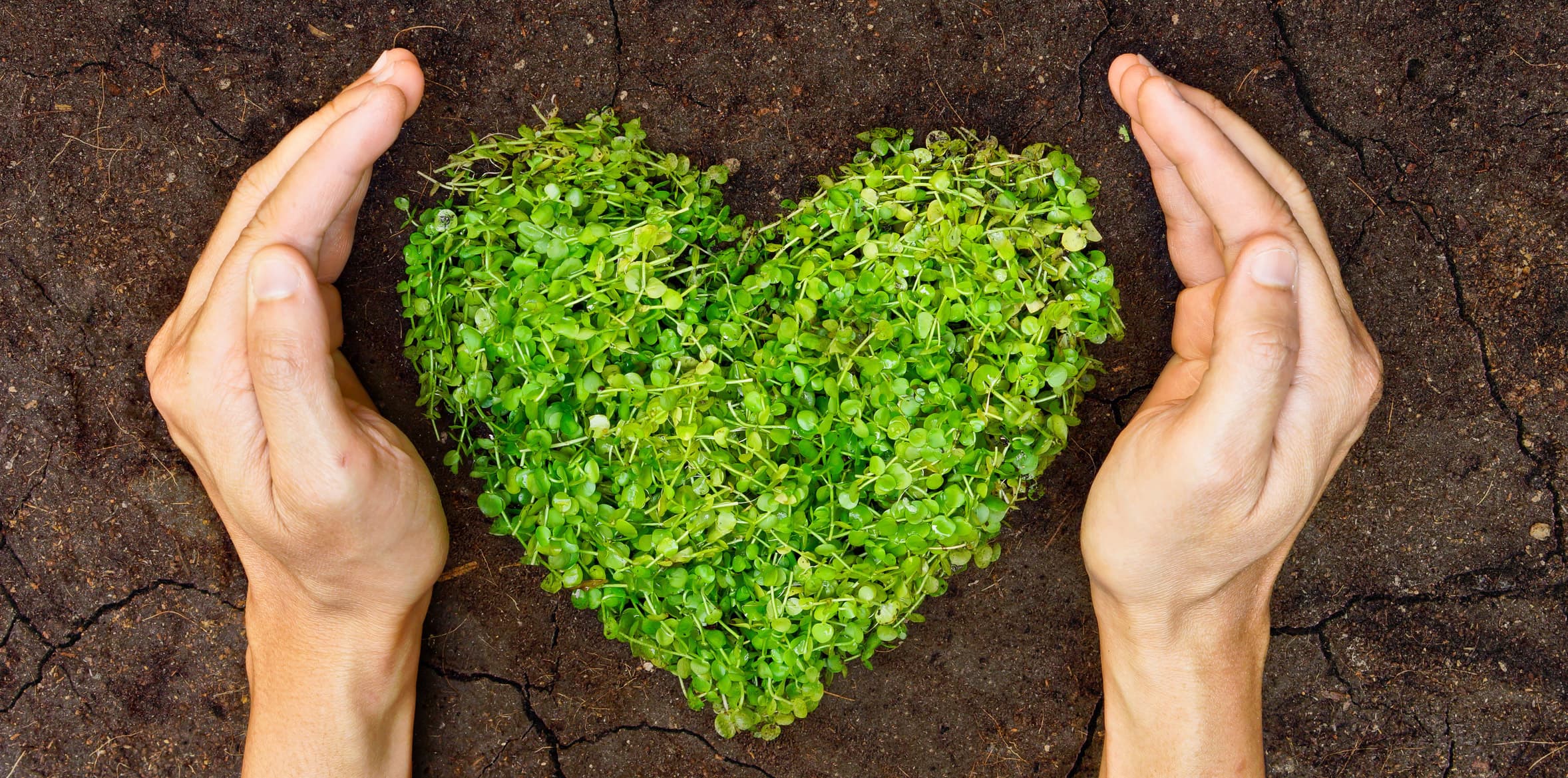 Everything You Need to Know About "Love"
