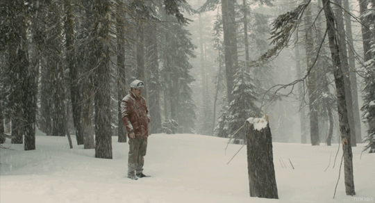 Her (2013)