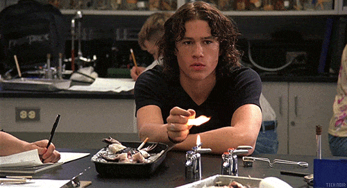 10 Things I Hate About You (1999)