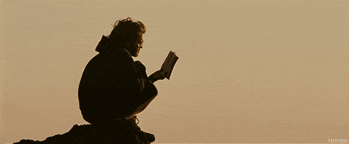 Into The Wild (2007)