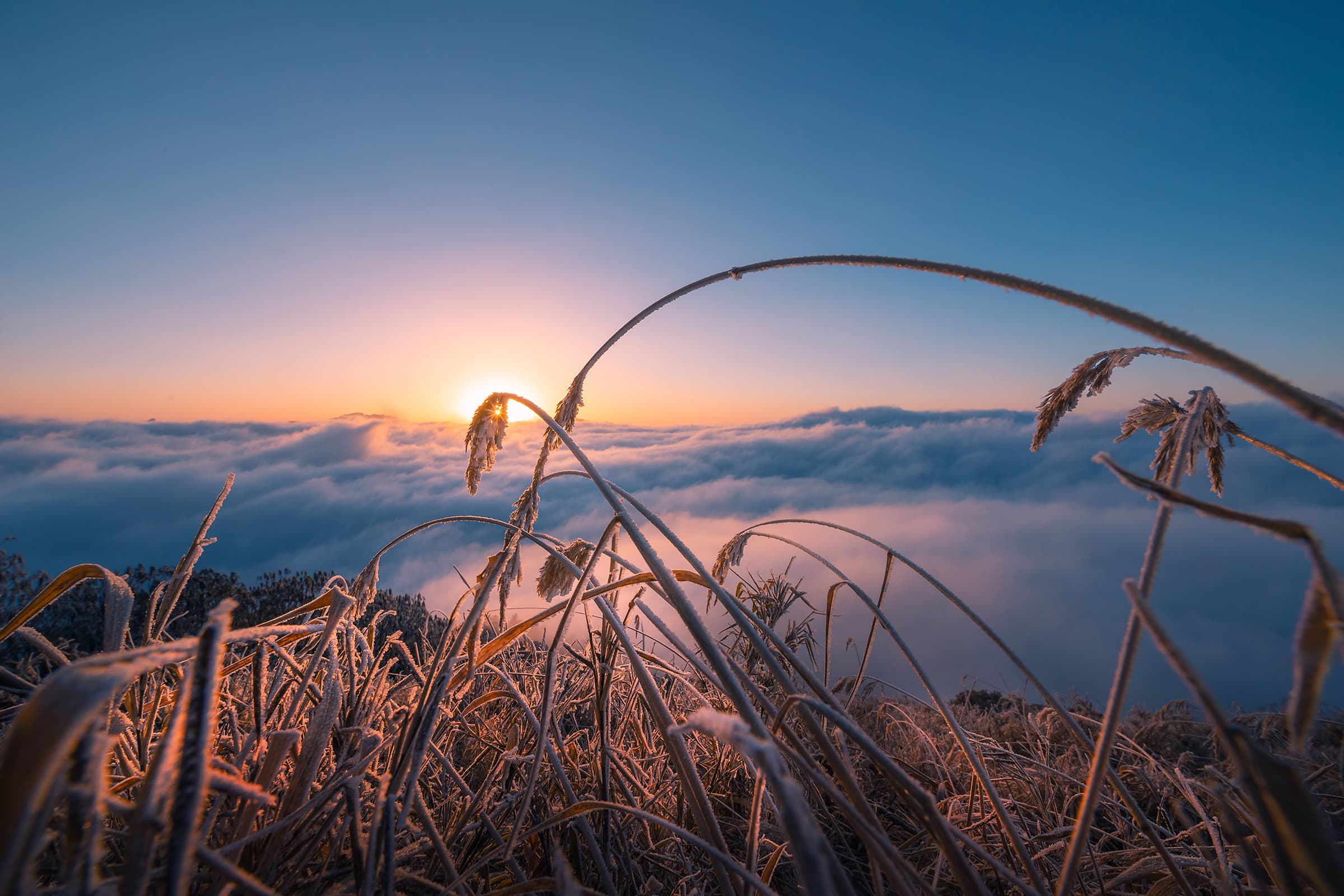 The Changing Seasons Through Li Ye’s Travel Photography