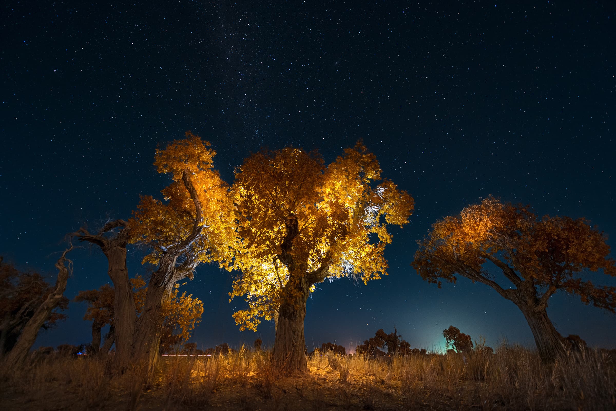 The Changing Seasons Through Li Ye’s Travel Photography