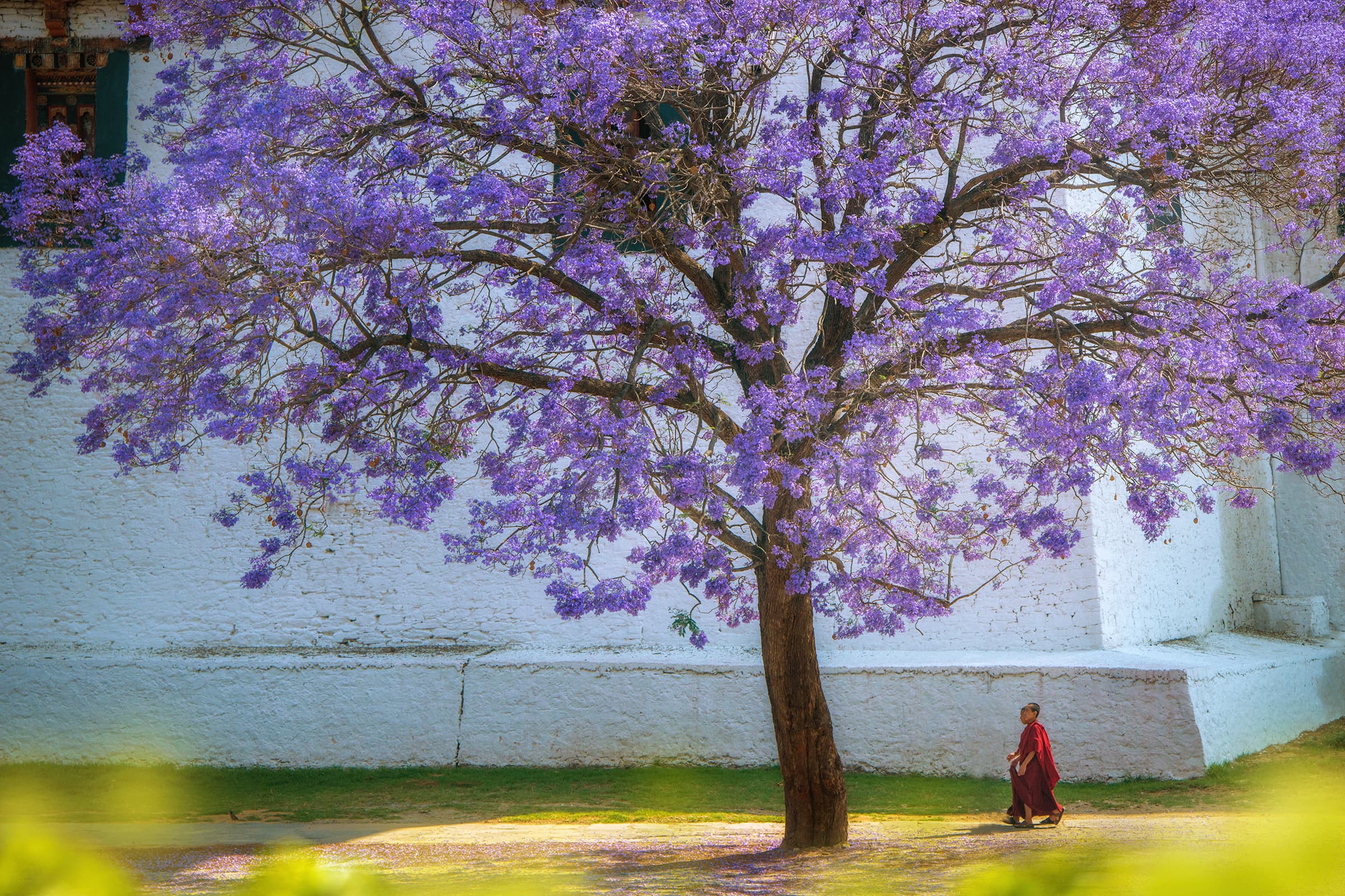 The Changing Seasons Through Li Ye’s Travel Photography