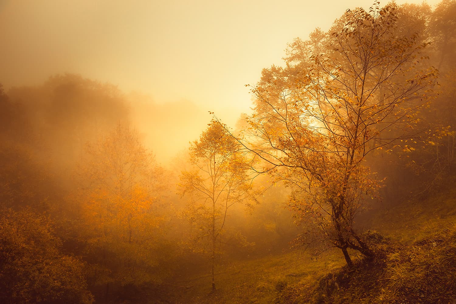 The Changing Seasons Through Li Ye’s Travel Photography