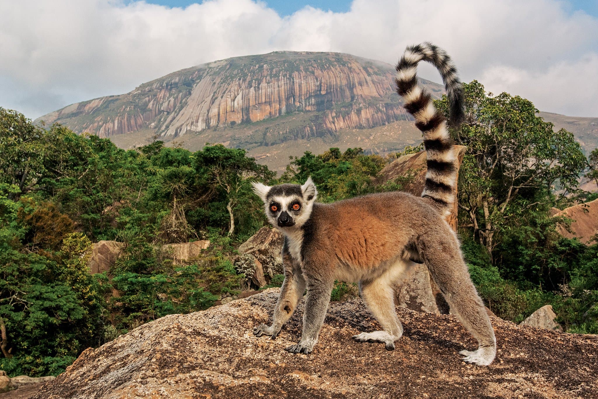 30. Madagascar