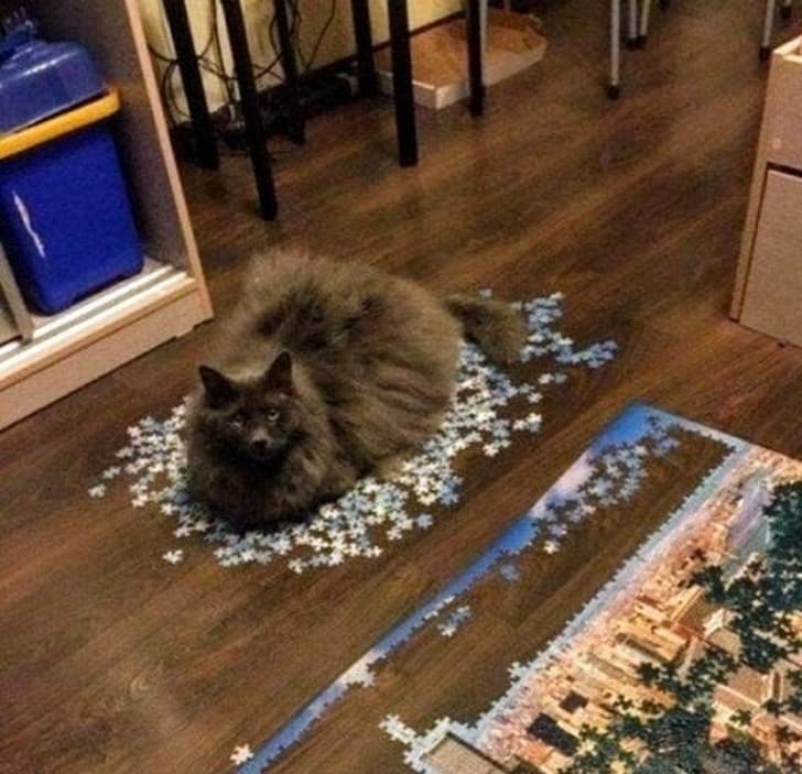 I didn’t want to finish it anyway.