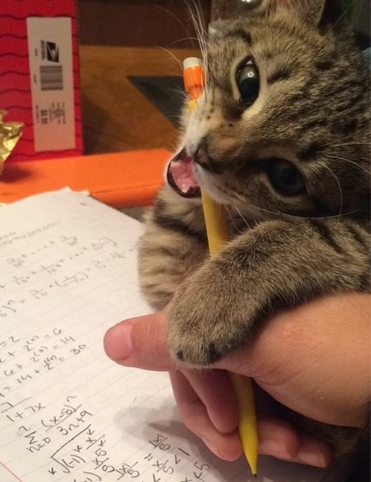 Well, I guess my homework is done.