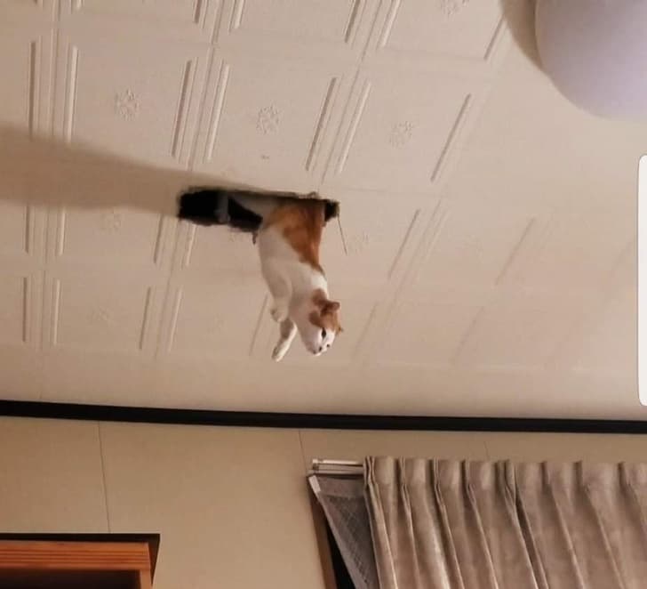 No laws of physics can stop me!