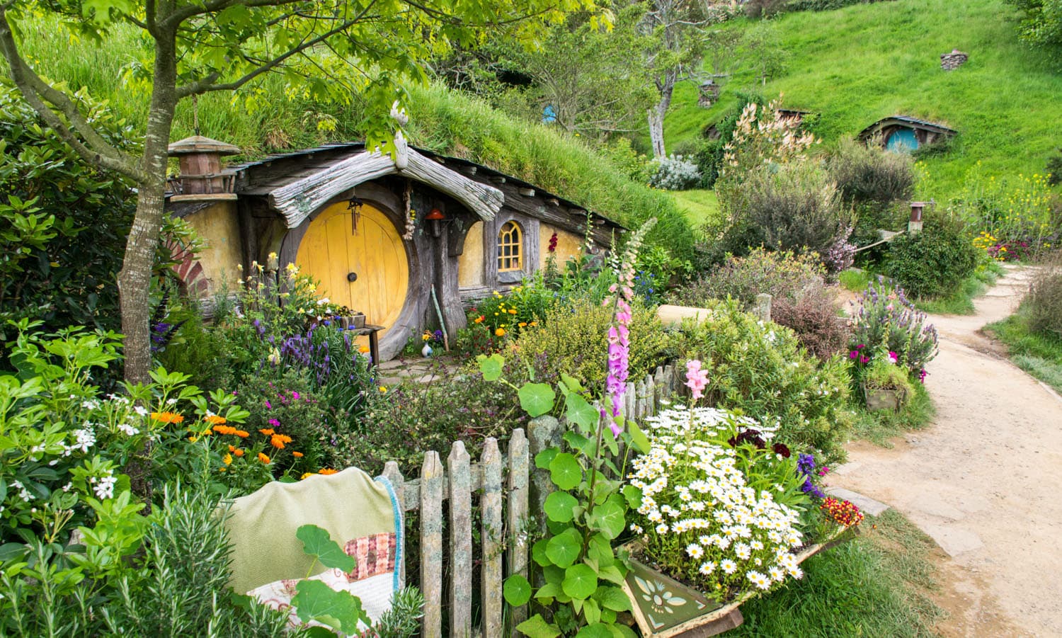 Discover Hobbiton, the real Hobbit Village