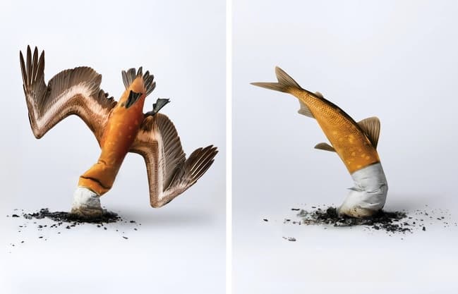 “Cigarette butts are crashing our ecosystem.”