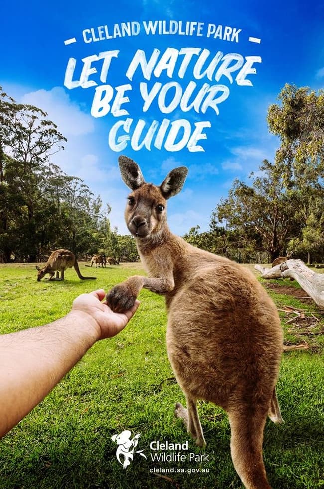 “Let nature be your guide.” — An invitation to a wildlife sanctuary where people can see animals in their natural habitats