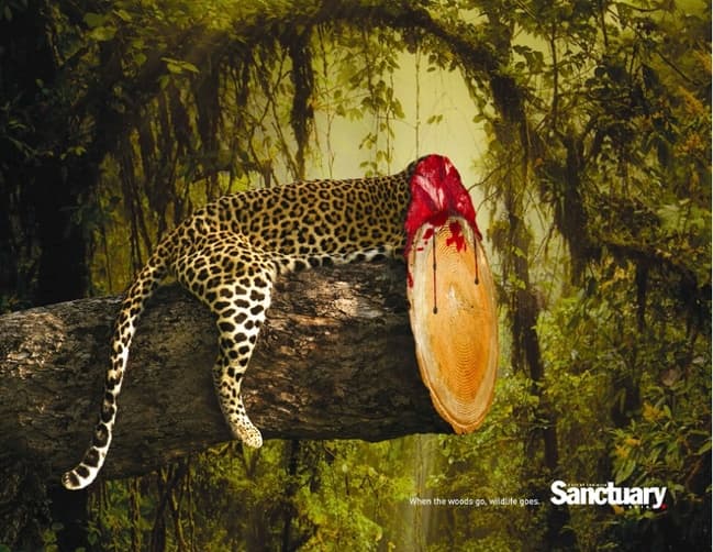 “When the woods go, wildlife goes.”