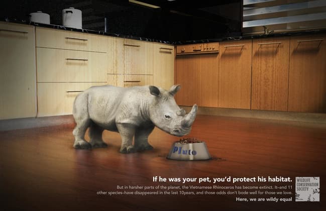 “If he was your pet, you’d protect his habitat.”