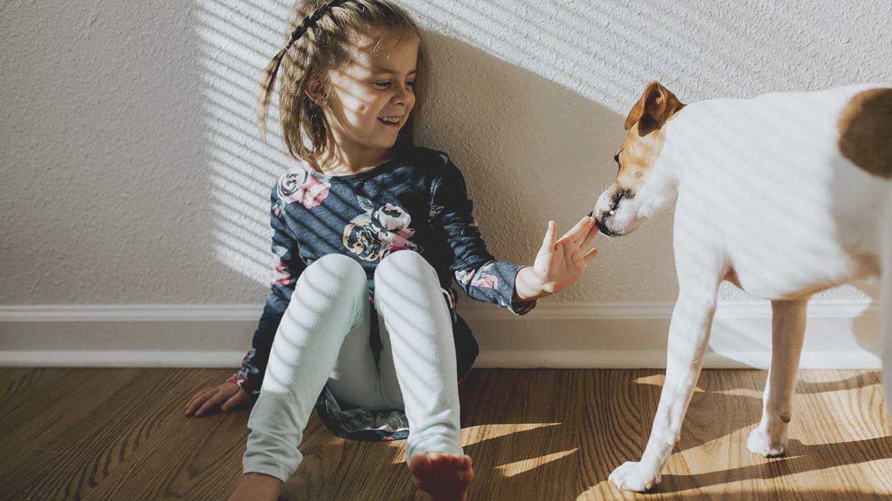 5. Dogs