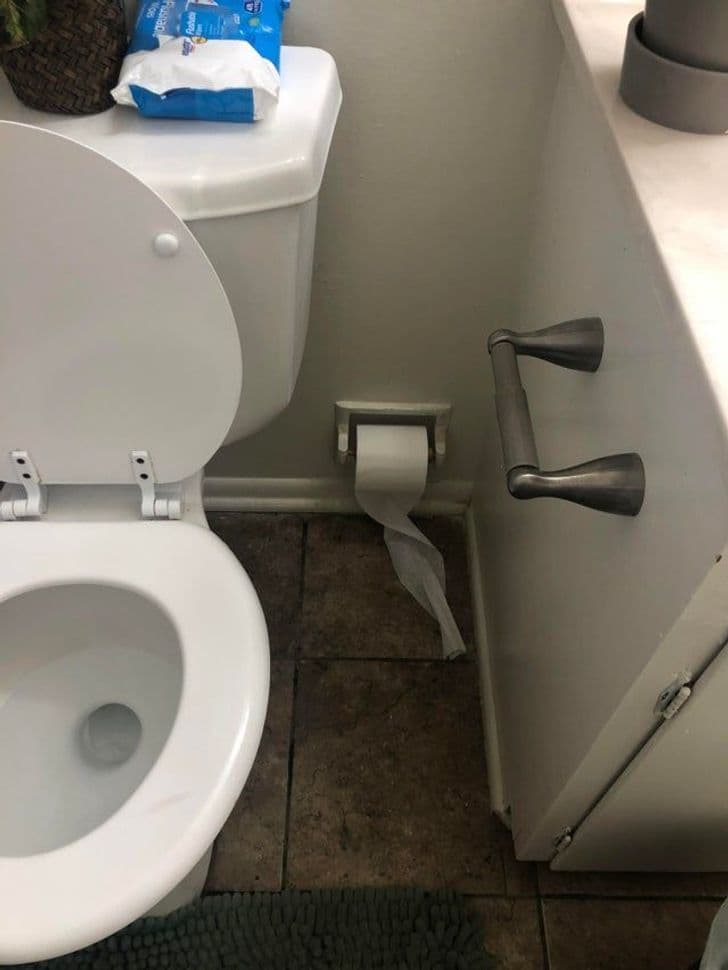 “I mean, it’s true that having more than one roll of toilet paper could be useful. Not sure how easy the second one is to reach though.”