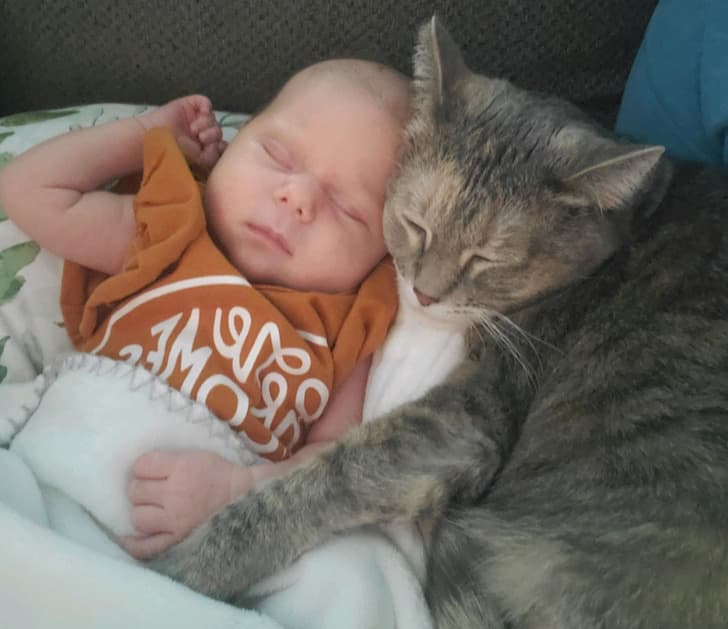 “My wife just sent me this picture of our daughter and cat. I’m crying at work!”