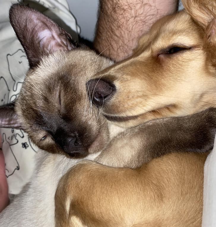 “Unlikely best friends”