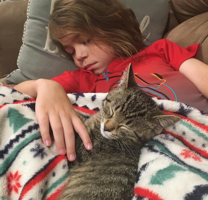 “Getting my son a kitten was one the best decisions I’ve ever made!”