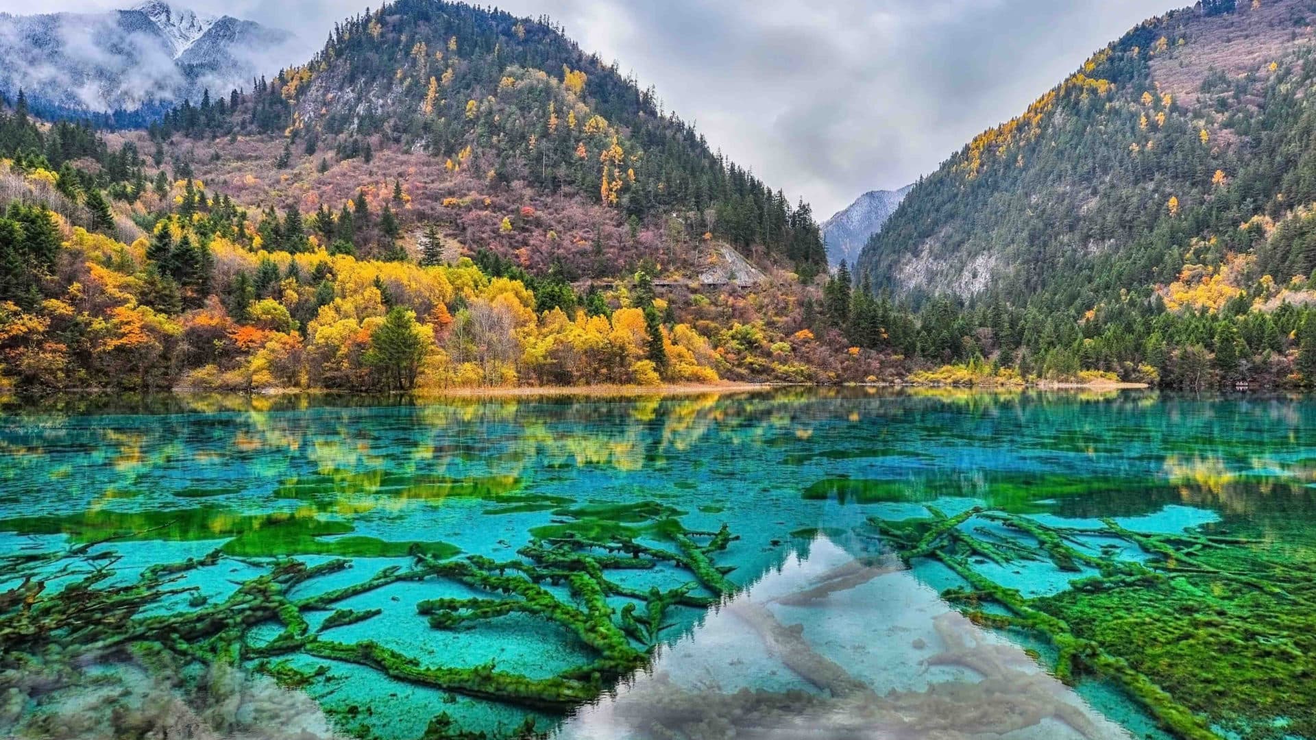 8. Five-Flower Lake, China