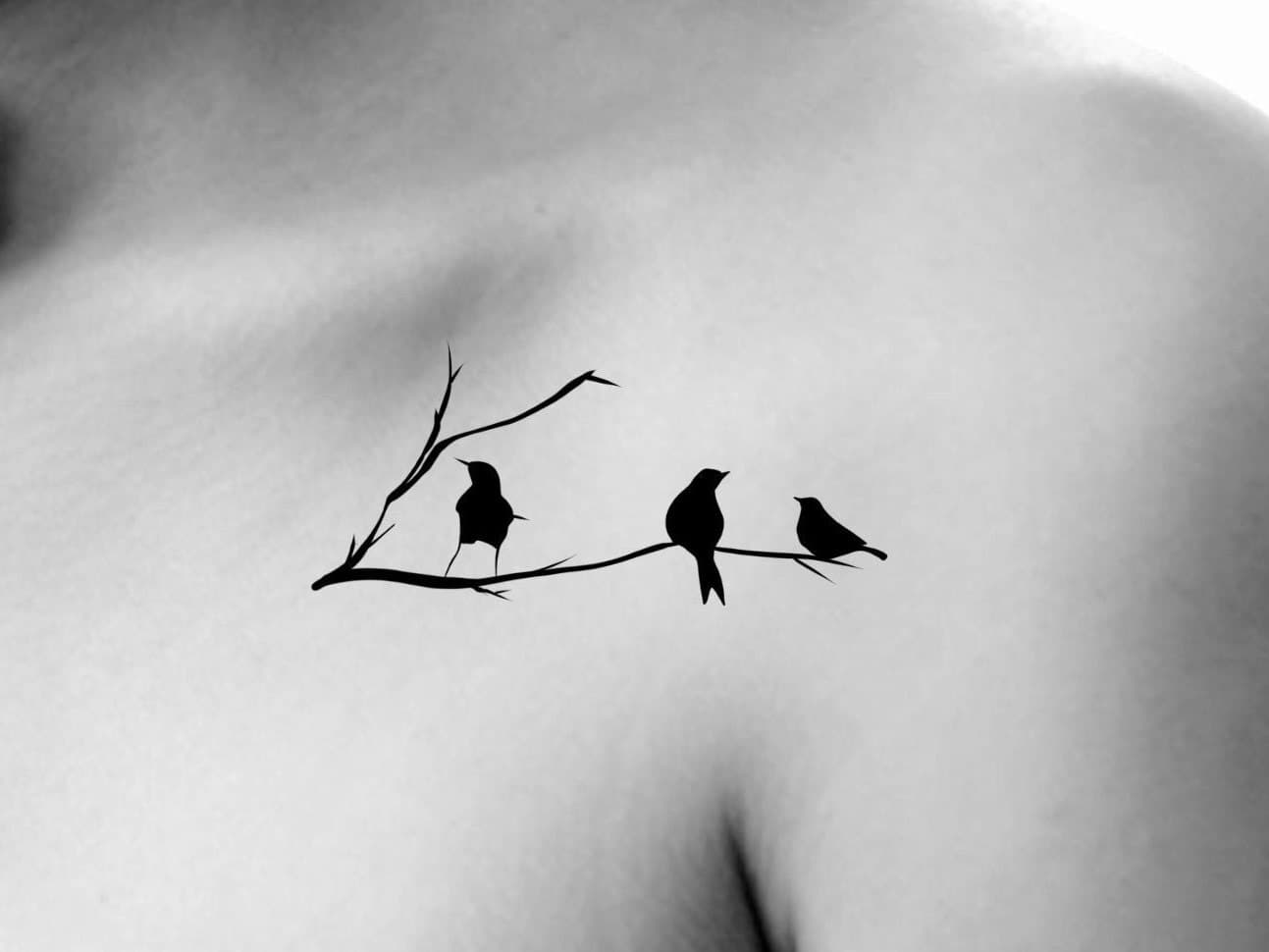29. Bird(s) Tattoos for Girls