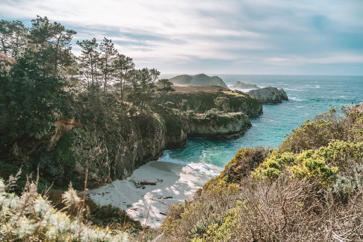 China Cove | Point Lobos