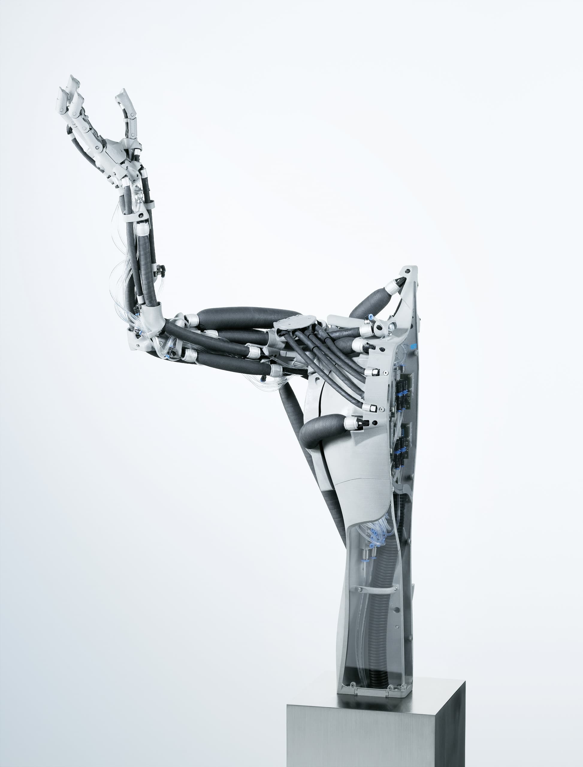 Festo Airic’s_arm | Human Muscles and Bones