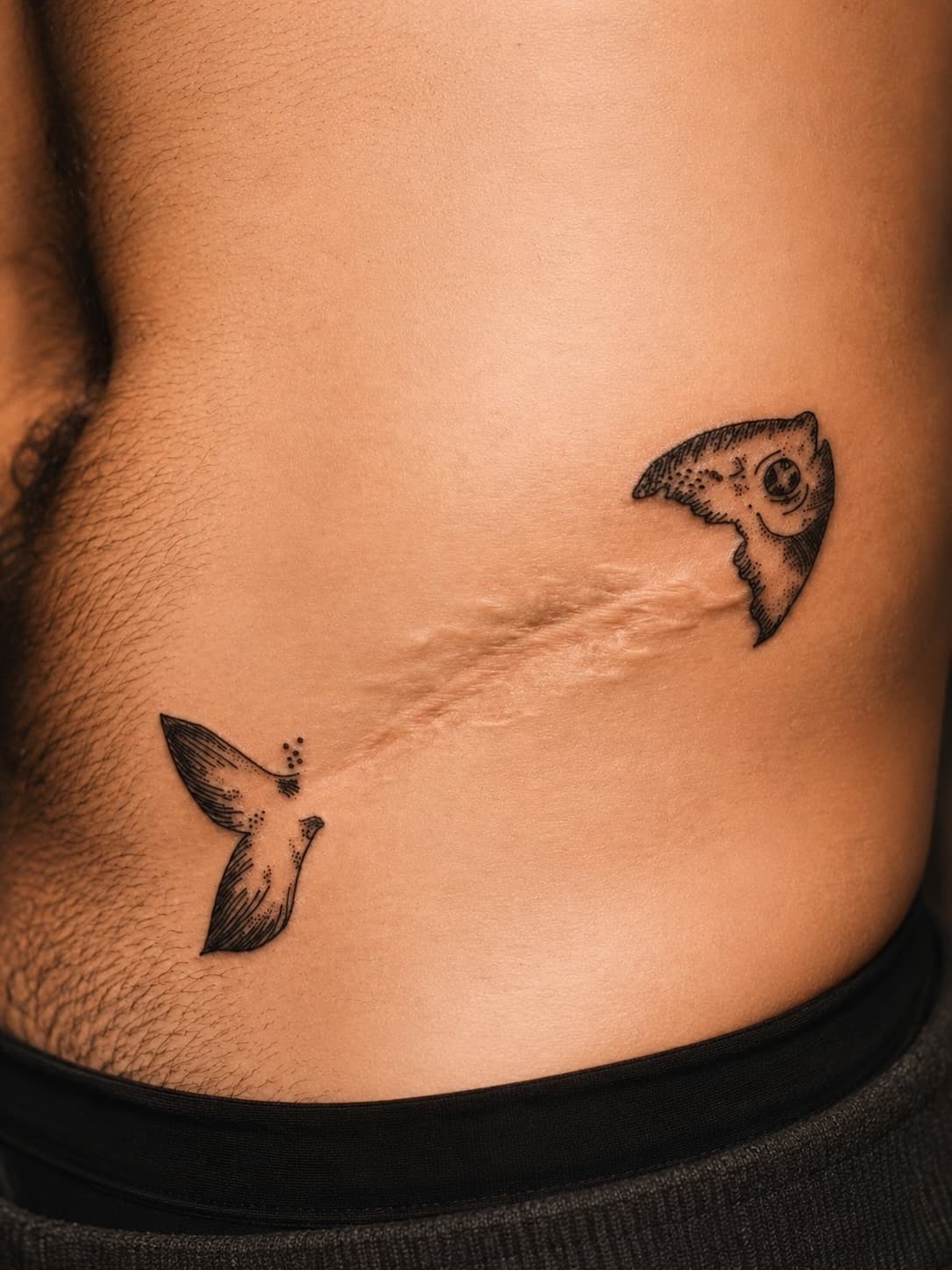 A Fish Across a Pink Line