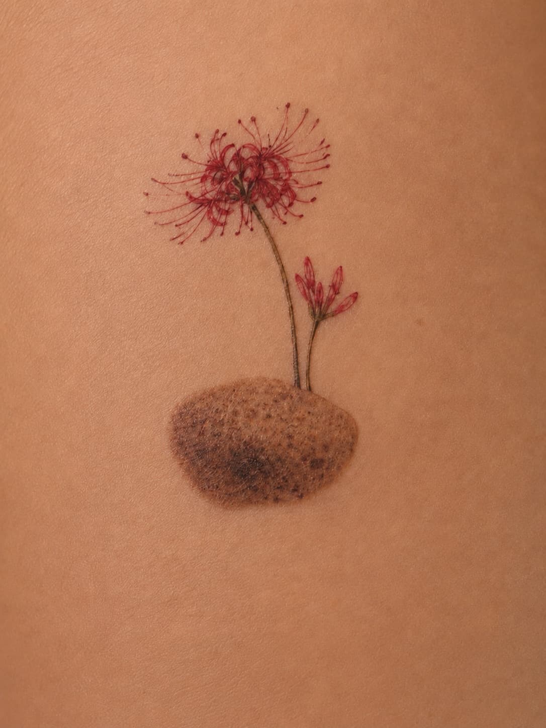 Flowers Growing From a Rounded Shape
