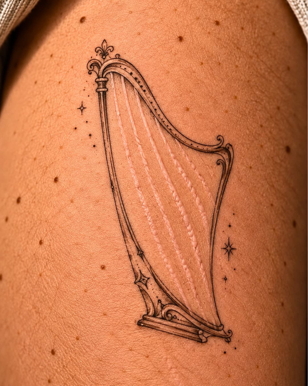 A Harp Strung With Pale Lines