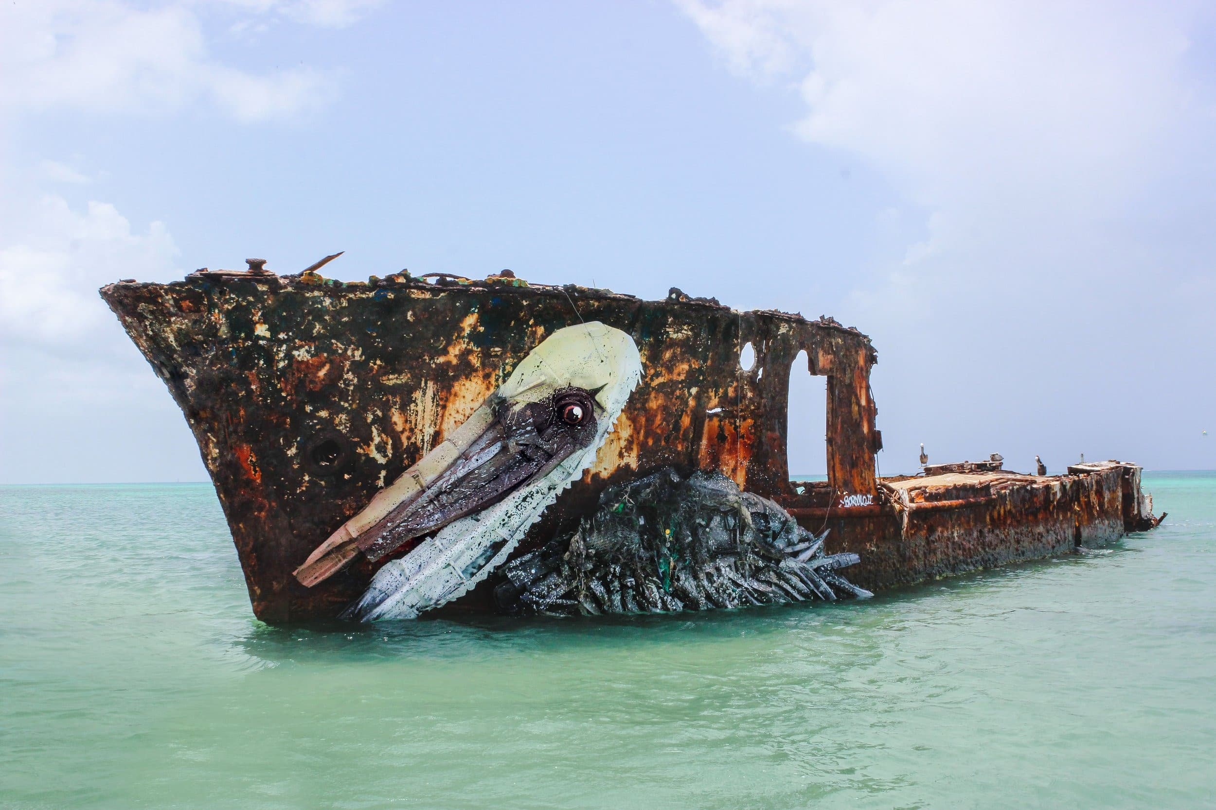 Pelican