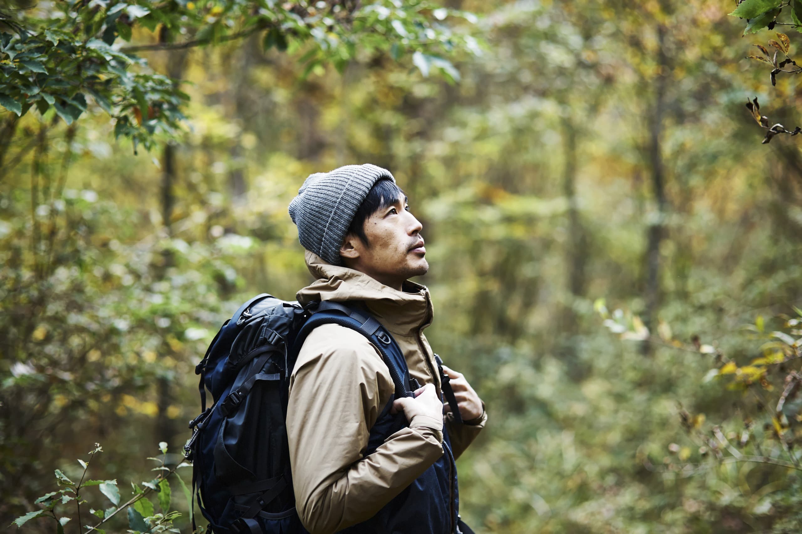 Pause on the Trail