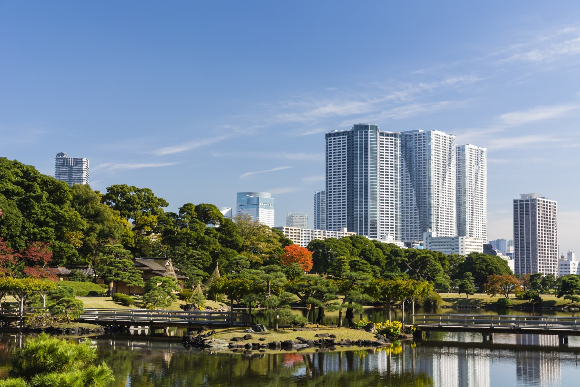 Hama-rikyu | Tokyo