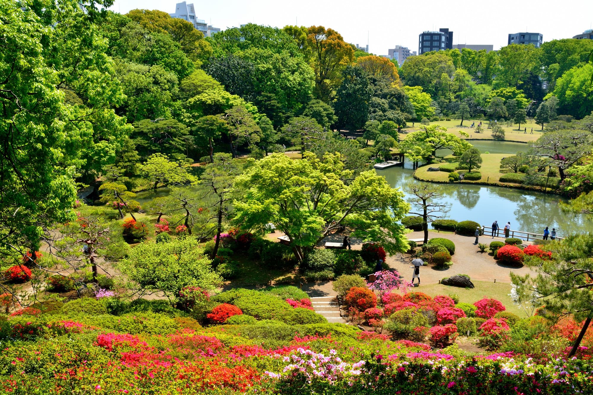 Rikugien | Tokyo