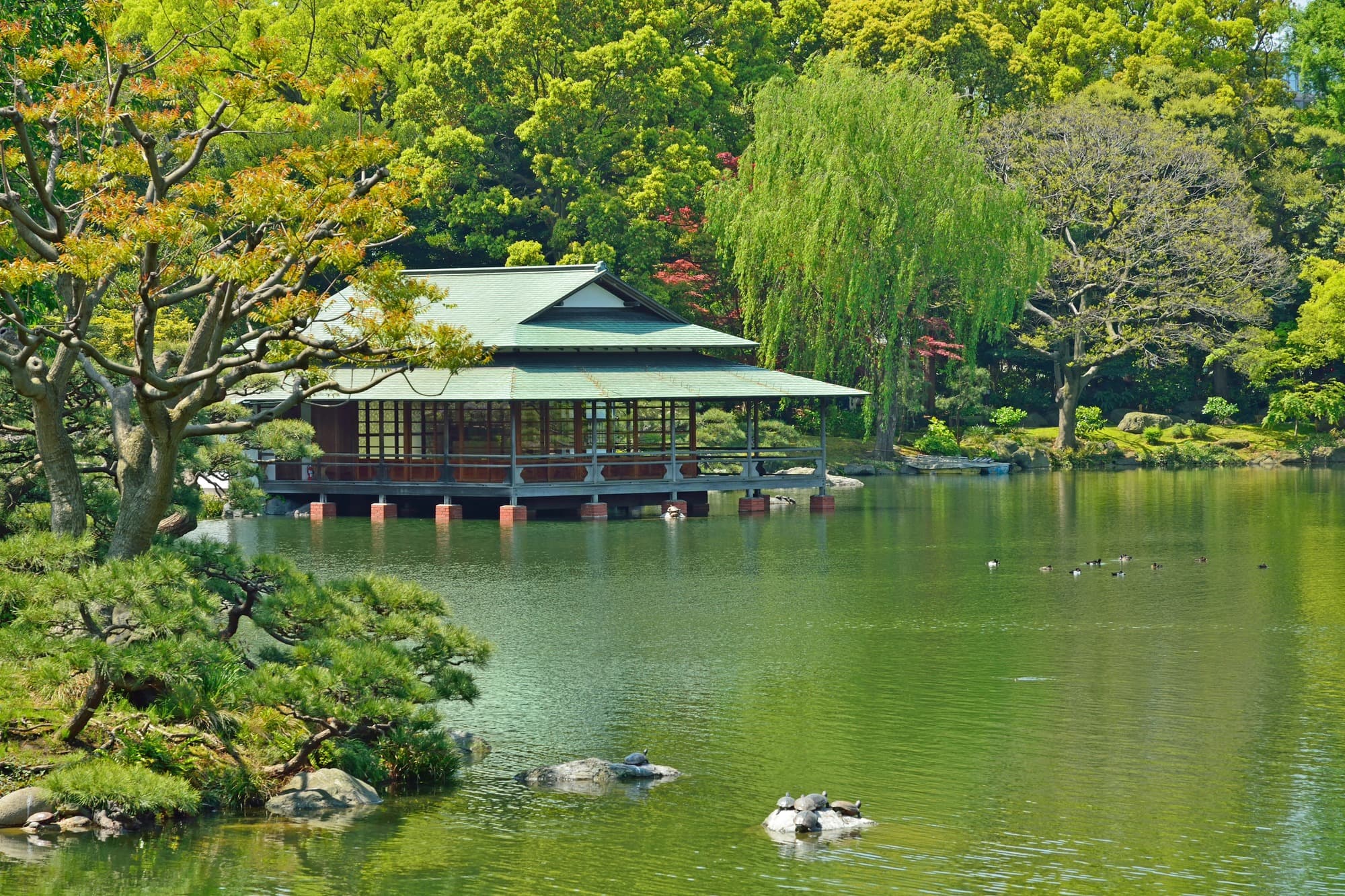 Kiyosumi | Tokyo