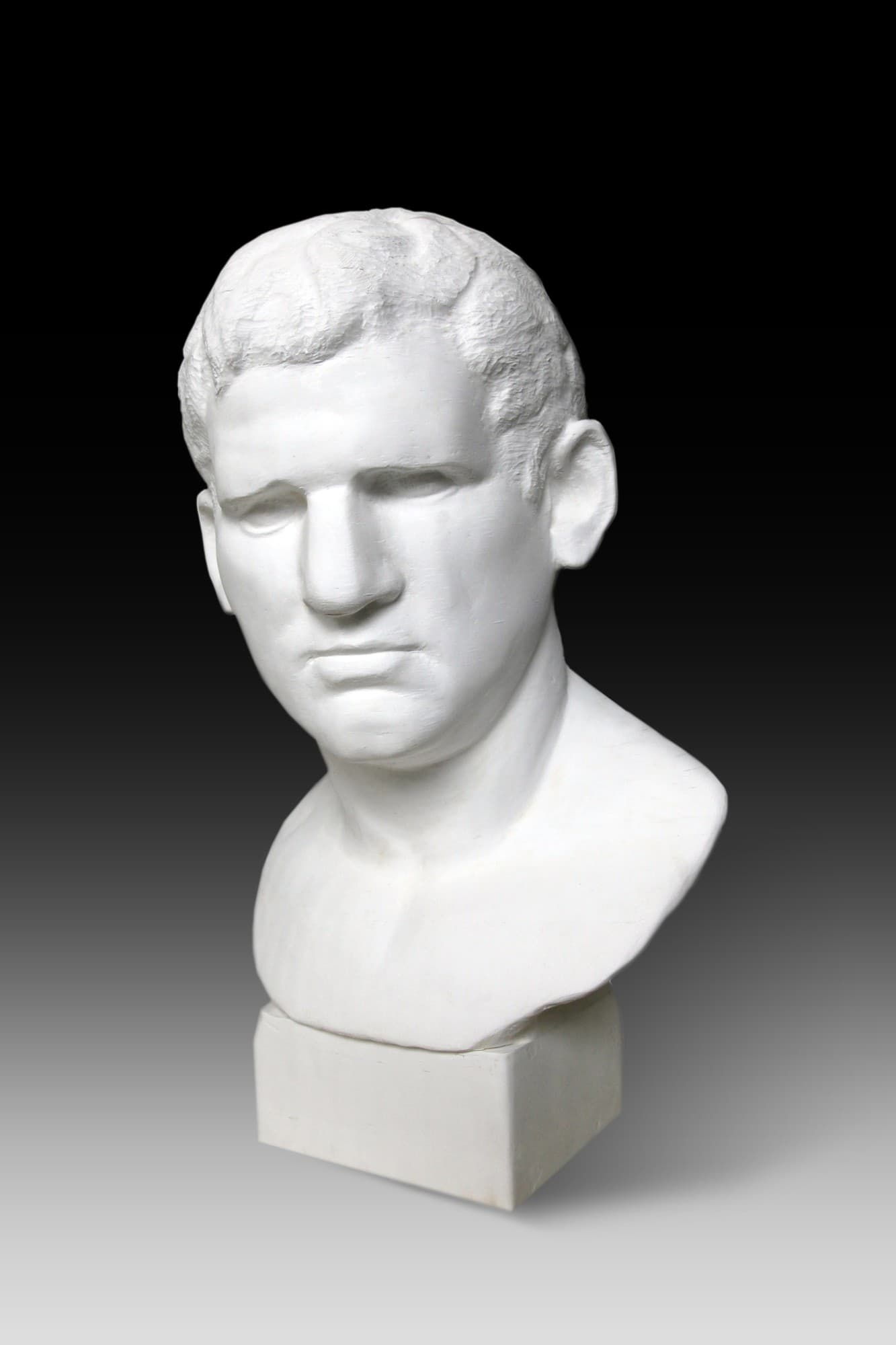 Bust of Agrippa, 2012