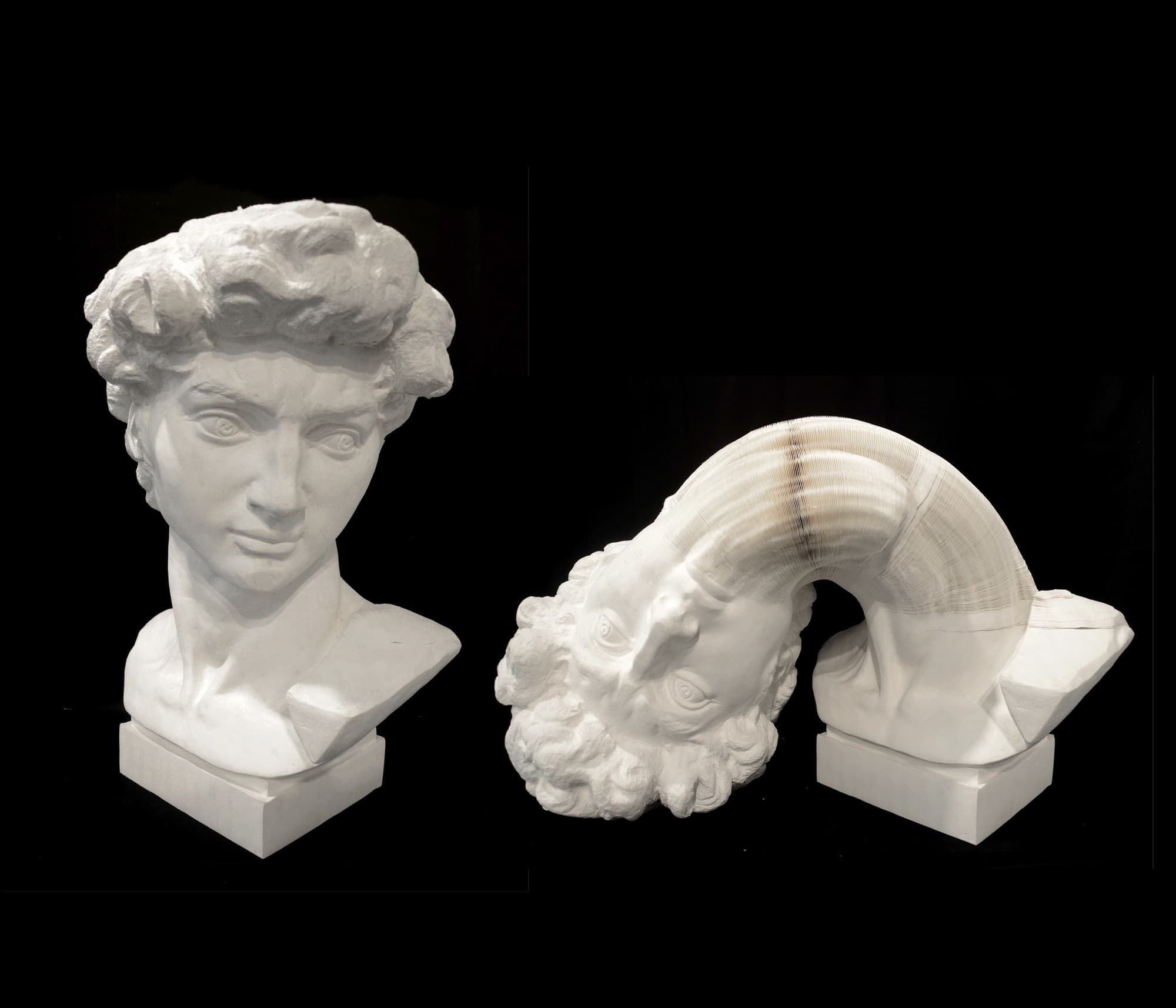Bust of David, 2015
