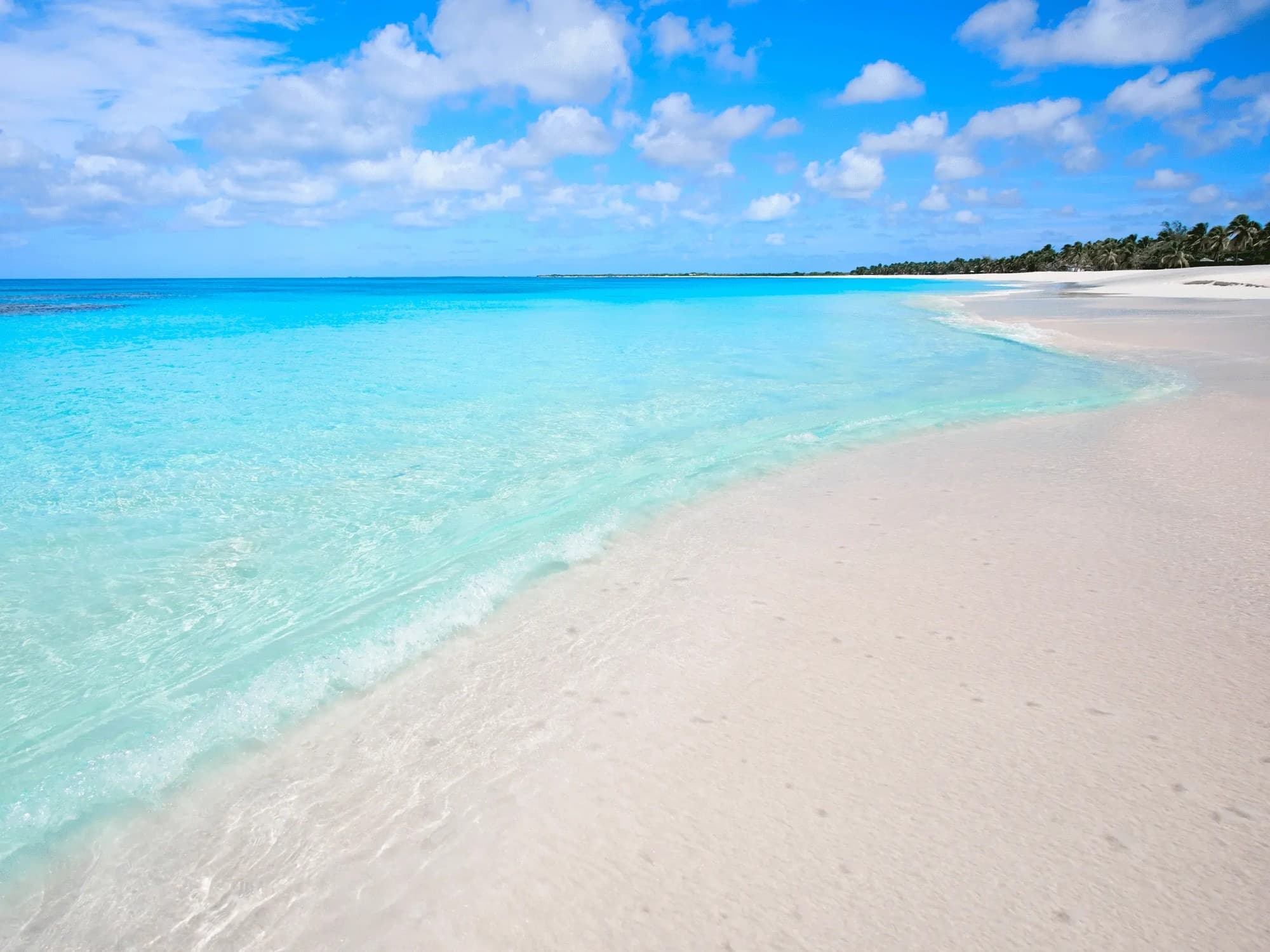 3. Princess Diana Beach | Barbuda, Antigua and Barbuda