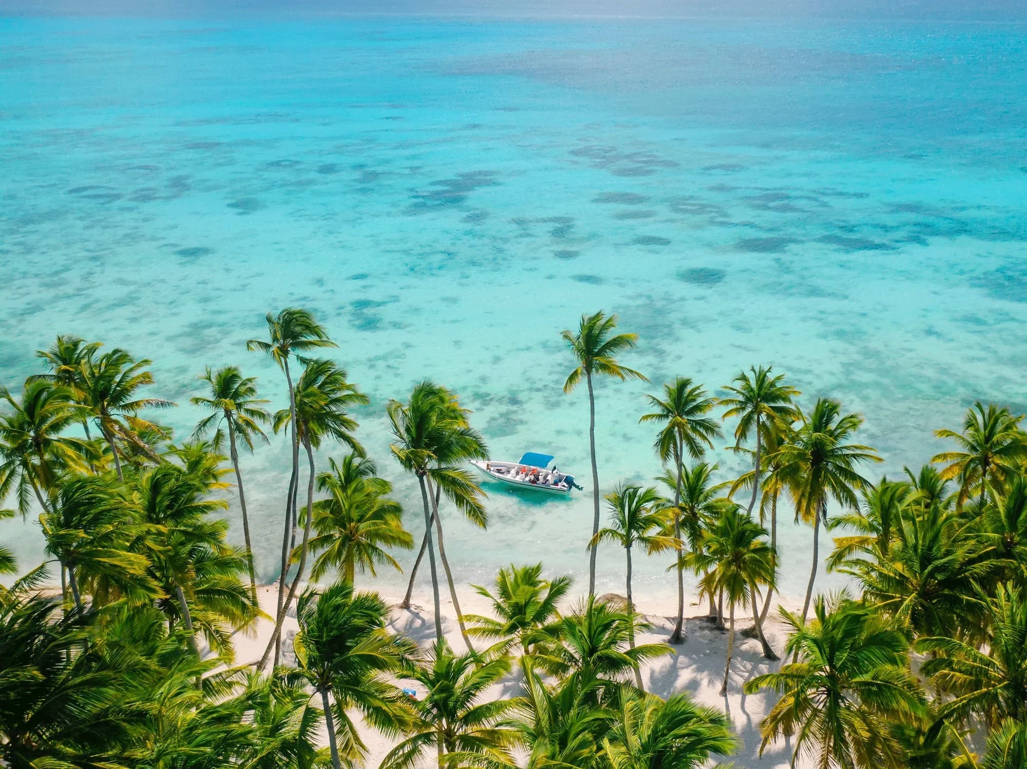 33. Canto de la Playa | Dominican Republic