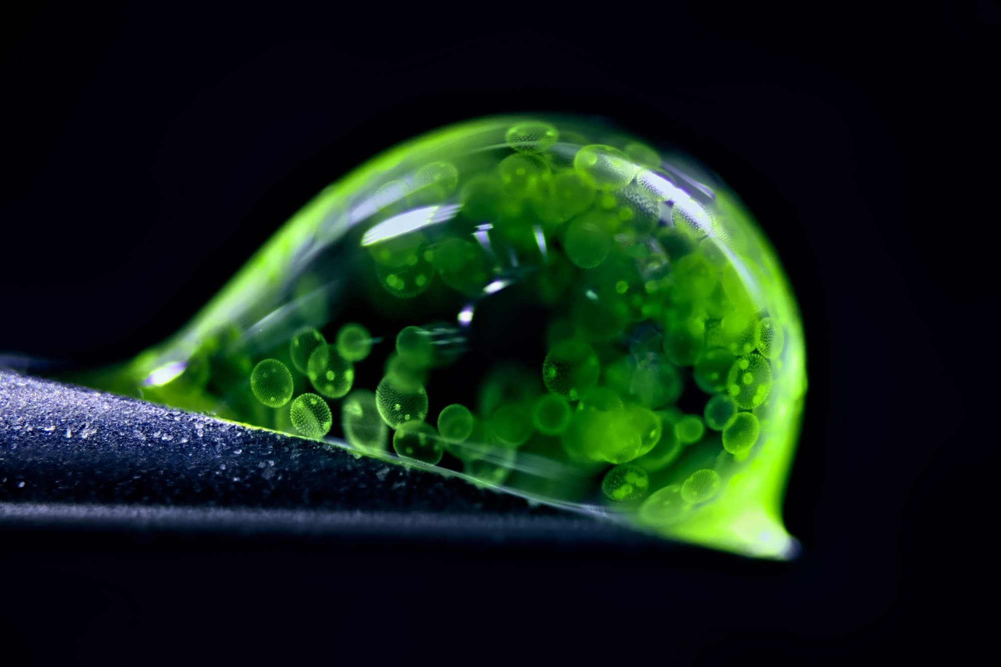 Spheres Within a Drop of Water