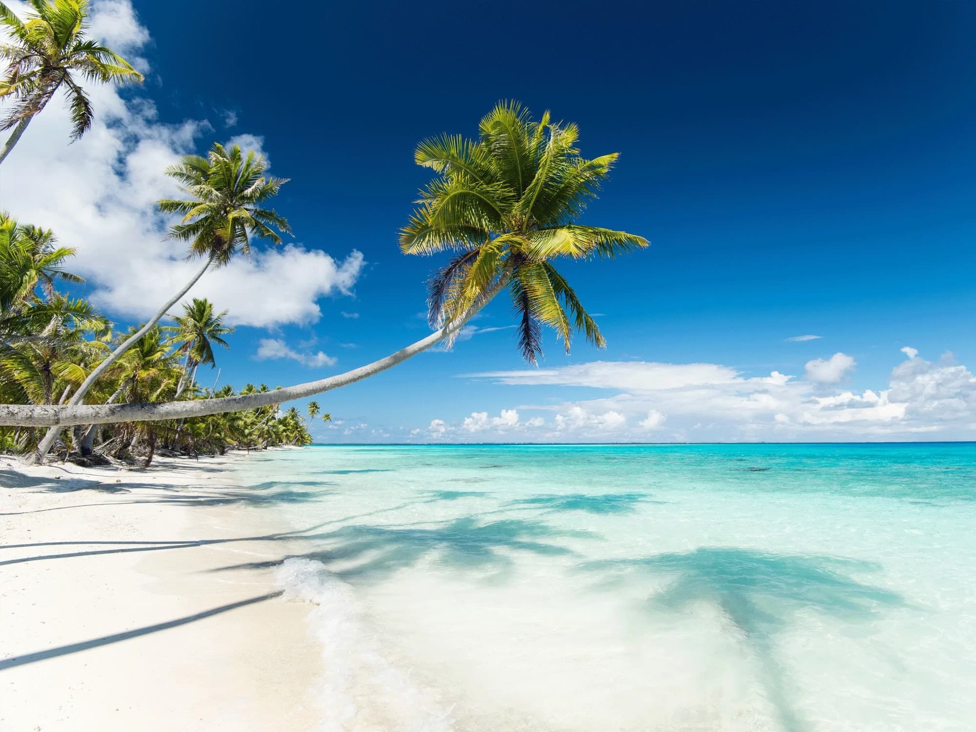 32. PK 9 Beach | French Polynesia