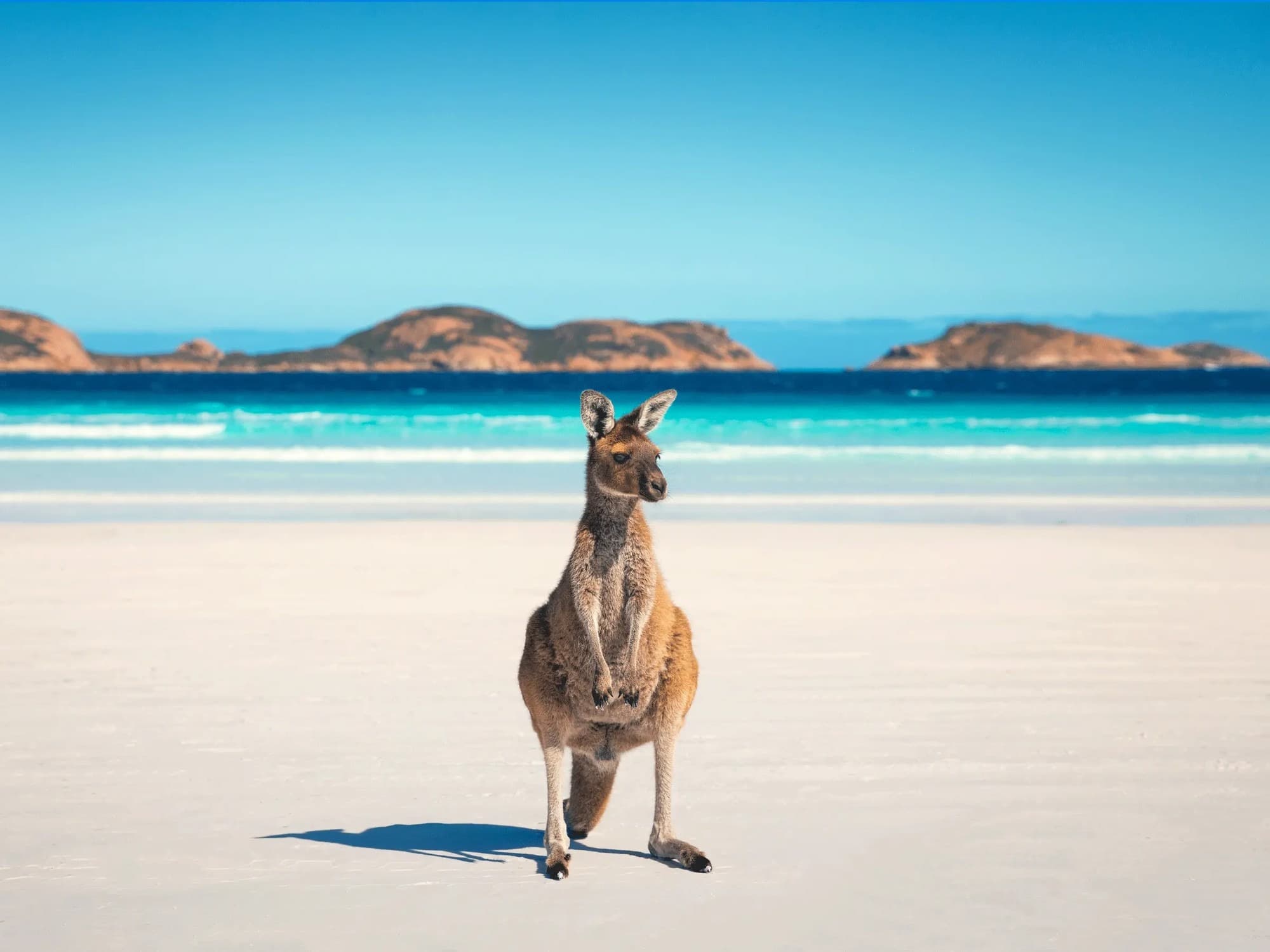 9. Lucky Bay | Western Australia, Australia