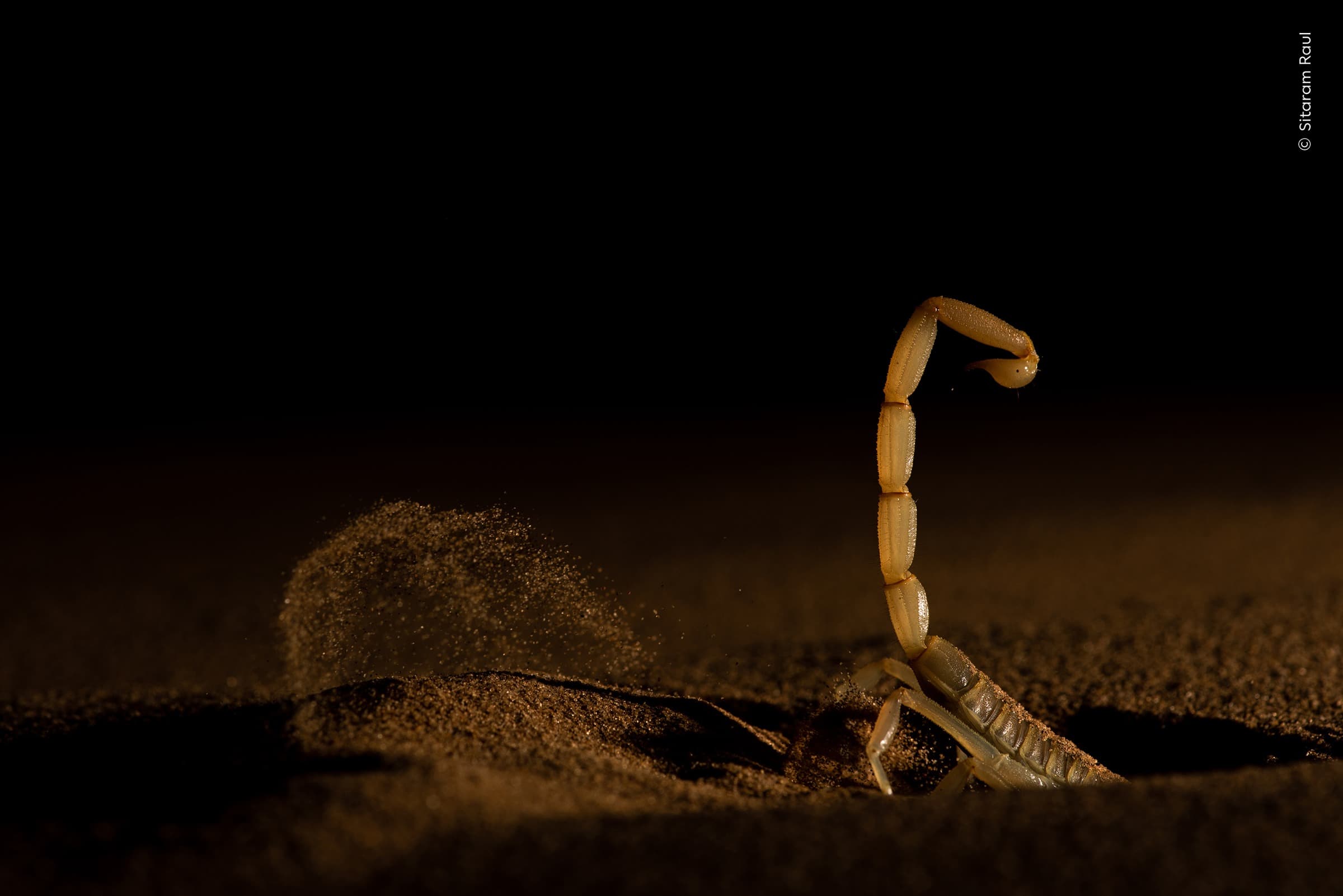 Shifting Sand | Sitaram Raul