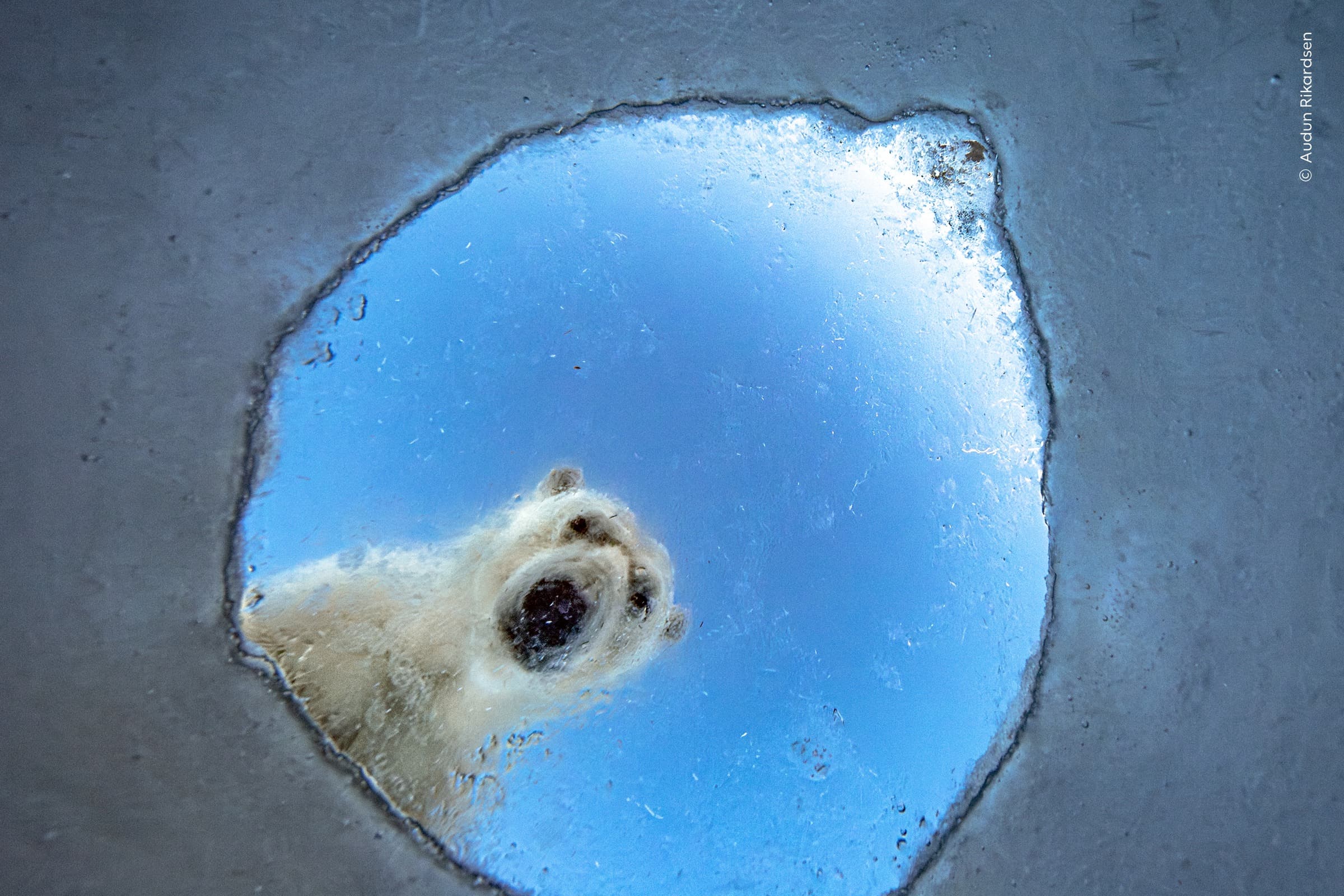 Icy Window | Audun Rikardsen