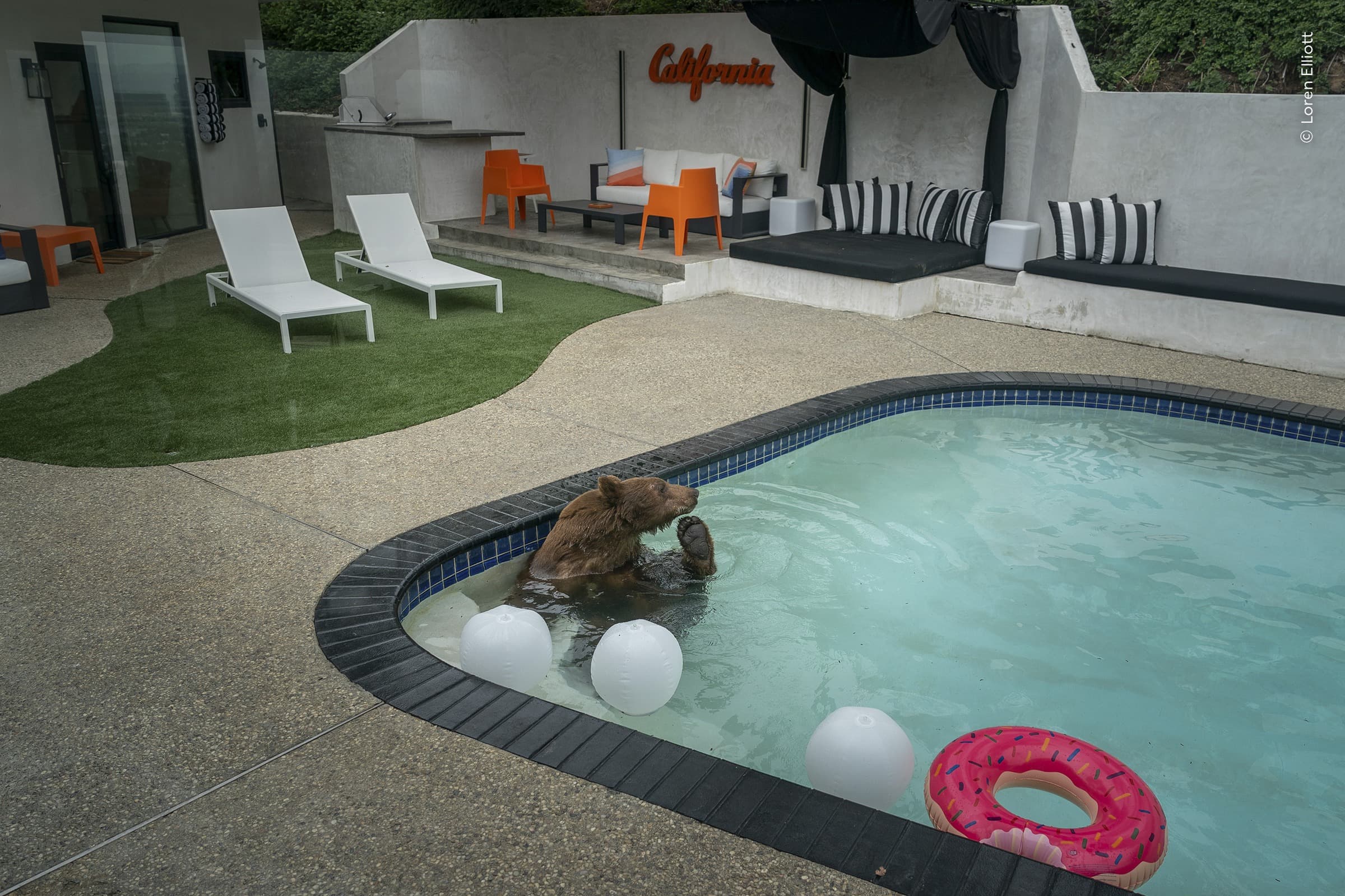 Pooltime Pastime | Loren Elliott