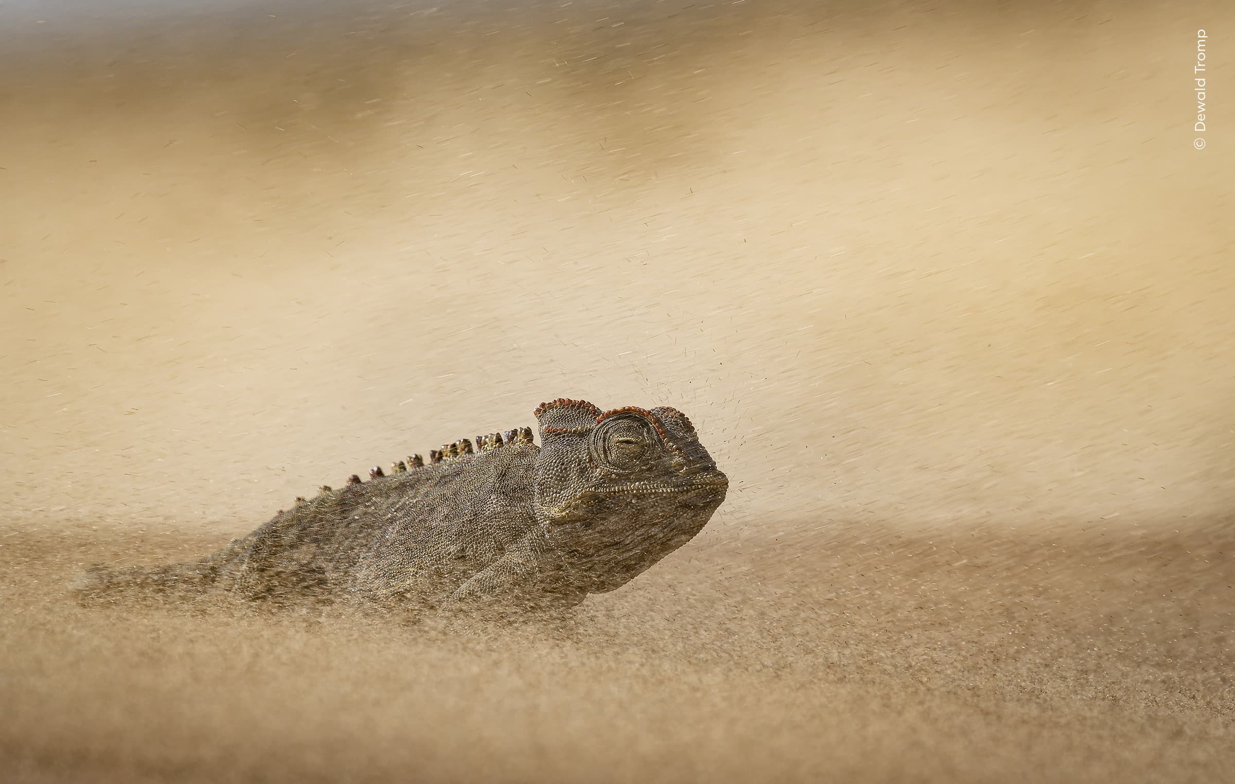 Eye of the Storm | Dewald Tromp