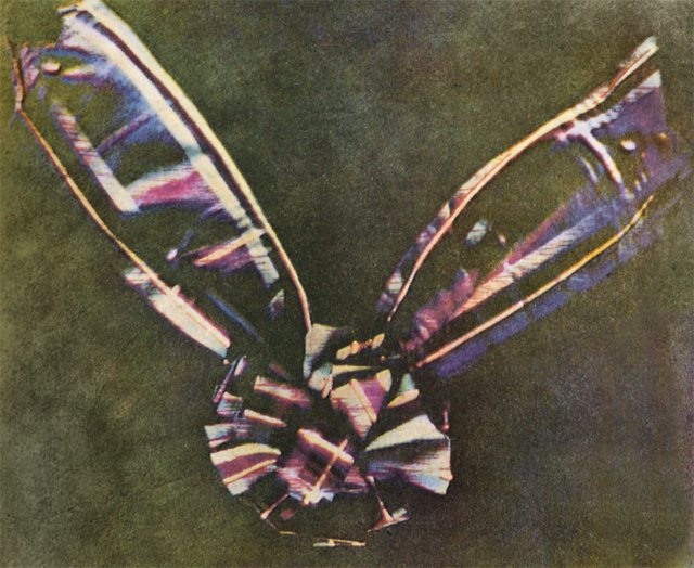 The First Color Photograph