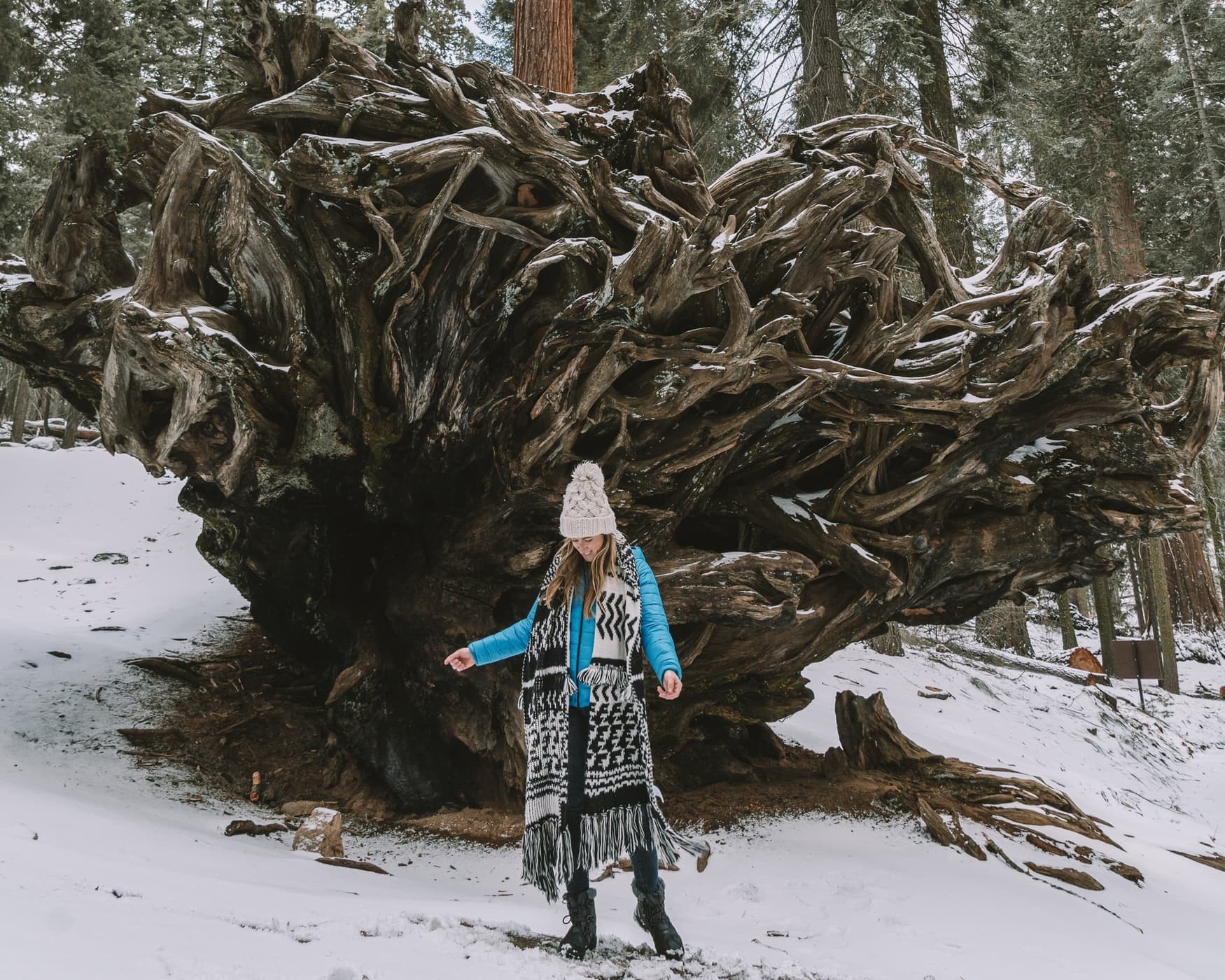 What to Pack for Sequoia in Winter